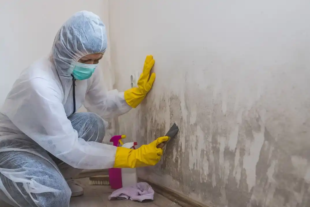 water damage restoration service Bedford Place